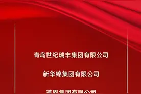 全国第三！50家鲁企跻身“2024中国民企500强”，制造业企业撑起80%图片