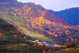 本周末抓紧，下周一闭园！图片