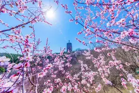 北京永定塔本周末开放！第三届国潮嘉年华同时启幕图片