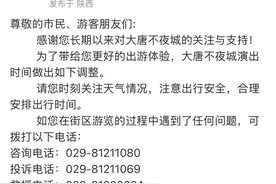 西安大唐不夜城：有调整！图片