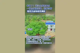 香晕了！武汉全城喷“香水”，啥品牌？经典桂花牌图片