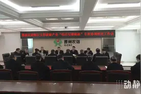 截至2024年，贵州农信累计向全省旅游业投入信贷资金超315亿元图片