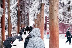 张家界武陵源：春雪美景兆丰年 银装素裹醉游人图片