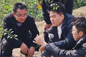 “与辉同行”来渝开播300万斤脐橙销售一空图片