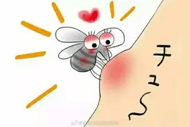 为什么被蚊子叮了会有“小红包”？图片