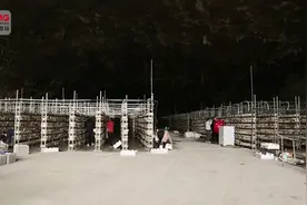 贵州平塘：清风洞里种菌菇 洞穴经济有丰收图片