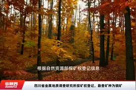 四川省金属地质调查研究所探矿权登记，勘查矿种为铜矿视频封面