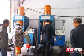 临武：茶油开榨满城香图片
