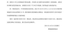 痛心！41岁成都球迷看比赛时晕倒离世图片