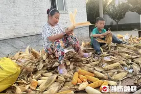 假期不一样，体验农活苦与乐图片