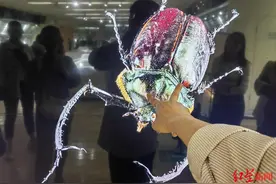 昆虫标本“活”了！“五一”假期去这里看微米级昆虫三维数字标本展图片
