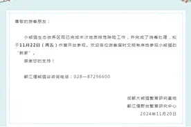 熊猫谷：小熊猫生态放养区，拟于11月22日恢复开放图片
