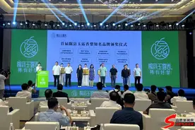 隰县玉露香梨 稀有好梨！山西隰县发起玉露香梨高质量发展倡议图片