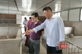 驻村书记变身“卖货郎”，为生态土猪寻销路图片