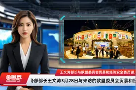 王文涛部长与欧盟委员会贸易和经济安全委员谢夫乔维奇举行会谈视频封面