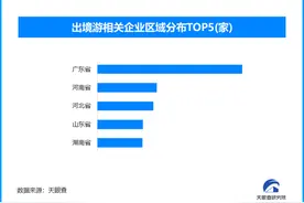 解锁春节消费密码：数据背后的消费趋势、产业机遇与经济活力密码图片