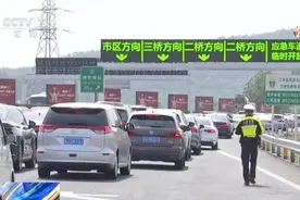 司机朋友 今年春节这些高速、服务区易拥堵繁忙图片