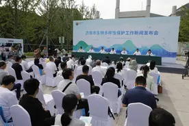济南市历下区佛慧山区域发现蜗牛新种 命名“佛慧华蜗牛”图片