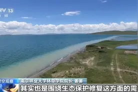 新增24种！高校专业调整如何服务国家战略？图片