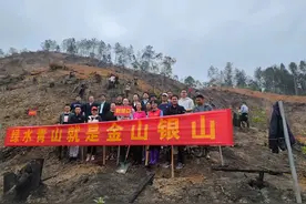 “植此青绿·共绘生态画卷” —邮储银行武平县支行积极开展义务植树活动图片