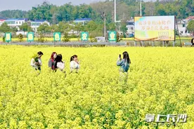 春日赏花来宁乡陈家桥村，5000亩油菜花海让您邂逅诗和远方图片