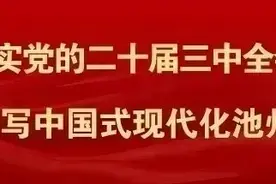 池州街头已出现！有人中招！图片