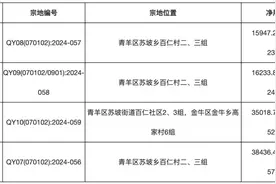 成都6宗宅地全部溢价成交：建发国际集团逾34亿元打包拿下青羊区4宗宅地图片