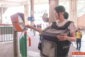 带猫狗搭轻铁 须持证且待车厢尾部图片