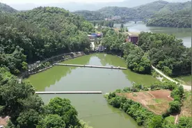 南漳：盛夏未至 乡村“钓鱼经济”热起来图片