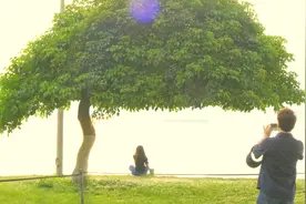 武汉“帽子树”旁的电线杆不见了？江滩回应：是桥梁监控杆，为不影响市民拍照，已迁移图片
