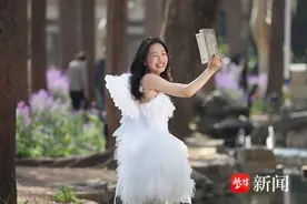 紫色花海美“醉”南京理工大校园图片