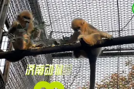 果然视频 | 动物视界150——来动物园，上一堂生动的生物课图片