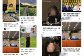 网红涌向联合国：花26美元参观打卡，精英人设成流量密码图片