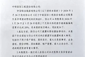 中铝国际去年预亏超28亿，发生了什么？图片