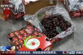2万吨车厘子已到货！为什么车厘子一个月到中国却不腐烂？揭秘保鲜体系图片