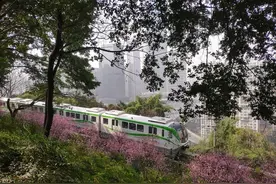 又是一年赏梅季！快来重庆这些地方尽享“梅”好时光图片