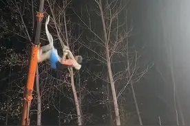 河南一高空杂技演员表演时坠地 其妻子一年前在表演中坠亡 亲属：仍在ICU 脸部受伤腿部骨折图片
