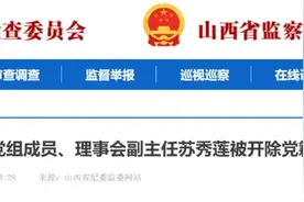 苏秀莲被开除党籍和公职图片