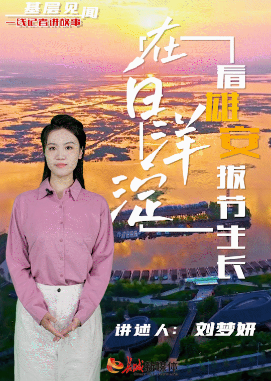 一线记者讲故事 | 基层见闻：在白洋淀看雄安拔节生长图片