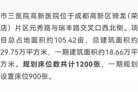 开建！成都三甲医院+1图片