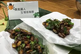 吃不完，根本吃不完……民进党当局“号召食谱”再添一道图片