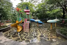 6岁女童殒命戏水池：家属称左腿被回水管吸住，官方正调查死因图片