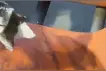 拍客｜观众吐槽演唱会座椅全是泥土 场馆：连续下雨，需经营公司打扫图片