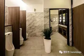 还有世界厕所日？新加坡的星级厕所有这些图片