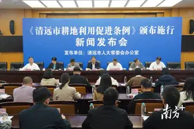 端牢“饭碗”守好“责任田”，清远出台新法推动耕地利用促进图片