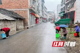 【新年开新局】低庄镇：万人齐扫迎元宵，环境焕新更美好图片