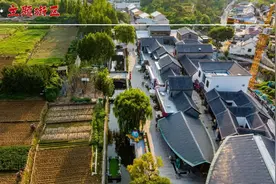 清明假期济南公交开通四条景区直通车 “一站式”直达景区图片