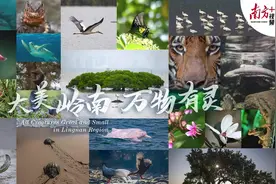 岭南的山、河、海、城，都生活着哪些神奇物种？图片