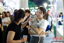 南京夜经济热力全开：热点地图覆盖全城图片