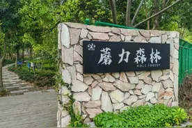 人少景美，宠物友好！张江这个小众打卡点不容错过图片